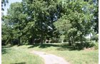 Property photo 11 - AUCTION POSTPONED